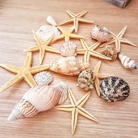 La Casa Di Chris * Golfo Aranci